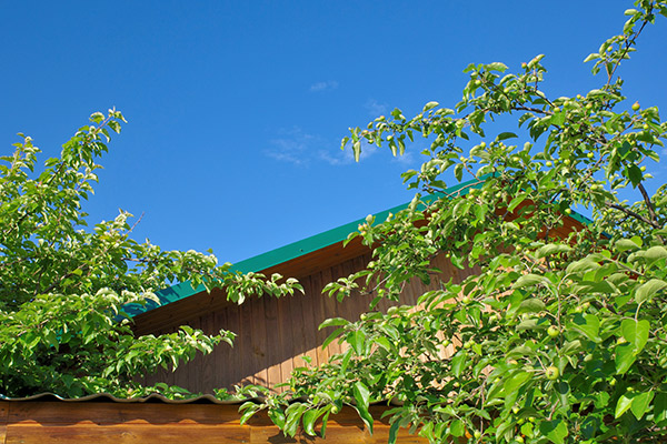 How Landscaping Affects Your Roof